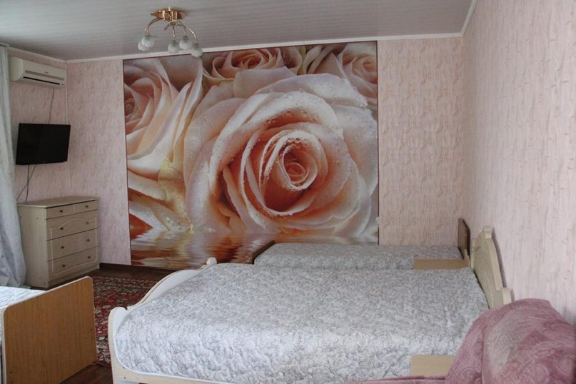 Трехместный номер №6, Кубанский переулок, 31, Благовещенская - Фотография 1