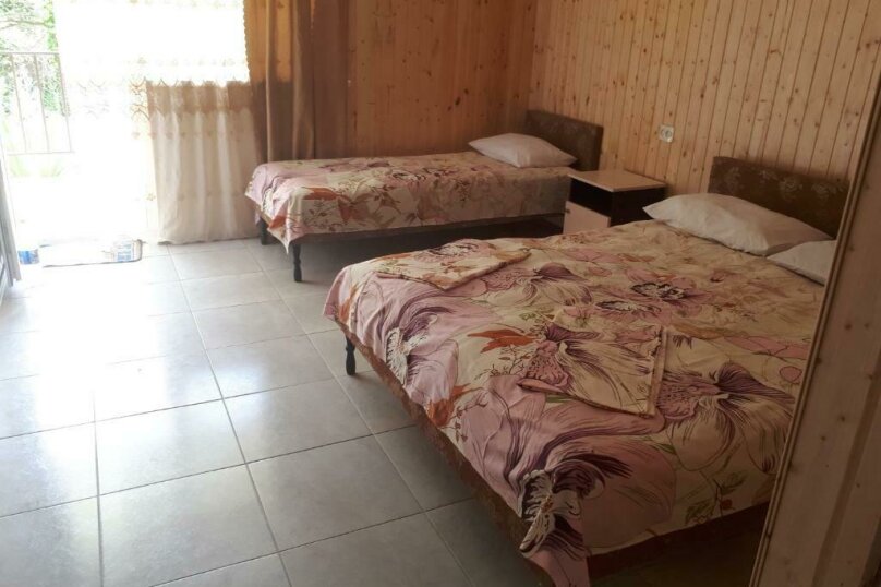 Трехместный номер, село Агараки, Монашеское ущелье, Золотая бухта, 12, Пицунда - Фотография 1