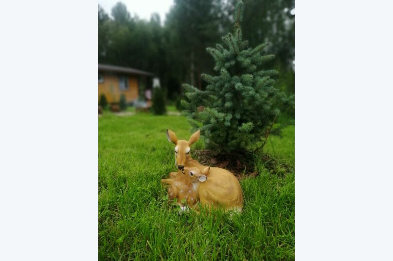 Шале "Рай в шалаше", Строительная, 1 на 4 номера - Фотография 47